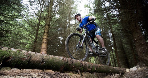 Balance and Control of Bike